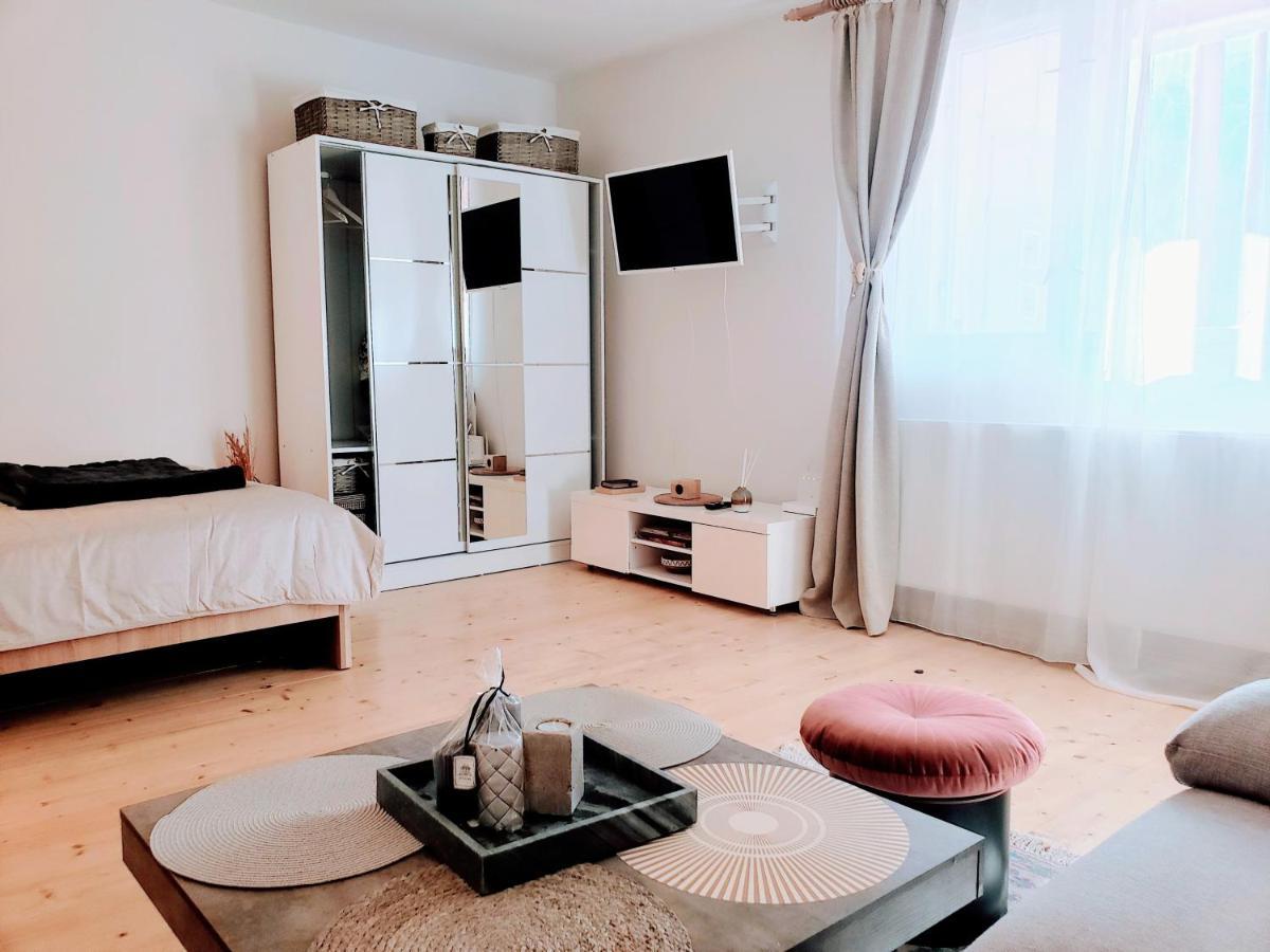 Cosy Studio-House With Terrace Târgu-Mureş المظهر الخارجي الصورة